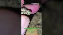 Vinnie's Lounge Video Thumbnail