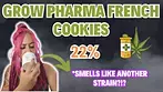 First Look French Cookies 22 Flower Strain | Medical Cannabis UK | ***SMELLS AWFULLY SIMILAR?!?***