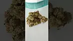 Four20 Pharma - Gastropop T31