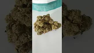 Four20 Pharma - Gastropop T31