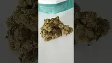 Medical UK Cannabis Video Thumbnail