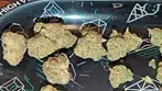 Big Narstie Medical PB T26 Papaya Bantz Medical Flower