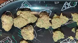 Big Narstie Medical PB T26 Papaya Bantz Medical Flower