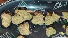 MedCannaBliss Video Thumbnail