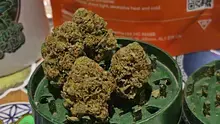 Keep Blazing Stay Amazing Video Thumbnail