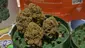 Video Thumbnail: Keep Blazing Stay Amazing