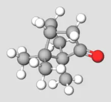 Camphor Terpene Compound Representation