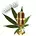 CannaHelp Channel Logo