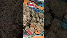 PrescribedBouquet Video Thumbnail