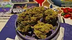 4C Labs Premium MDK T21 Moby Dick Medical Cannabis Flower Hybrid  • 21% THC • 1% CBD