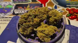 4C Labs Premium MDK T21 Moby Dick Medical Cannabis Flower Hybrid  • 21% THC • 1% CBD