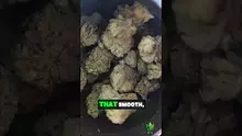 Cannabis Culture  Video Thumbnail