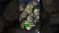 Video Thumbnail: Cannabis Culture 