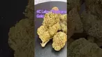 4C Labs ~ Tropicana Gold T26 Review in description