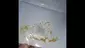 Video Thumbnail: Smacksalad