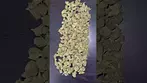4C Labs | Cold Creek Kush Smalls CCKS25/1 medical cannabis flower #cannabisdaily #legal #ukmedicine