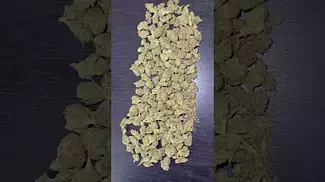 4C Labs | Cold Creek Kush Smalls CCKS25/1 medical cannabis flower #cannabisdaily #legal #ukmedicine