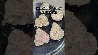 MIRACLE VALLEY MAC 1+ T25 weight