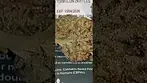 WATERMELON ZKITTLES 25%THC MEDICALCANNABIS #medicalcannabis #cannabisdaily