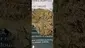 Video Thumbnail: Mary Jane Media 420