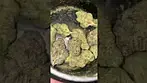 Mellowz