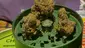 Video Thumbnail: Keep Blazing Stay Amazing