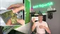Video Thumbnail: Jack & The Green Talk