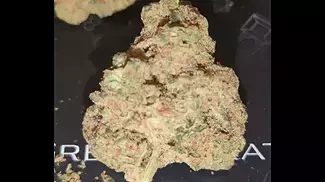 Papers™ YC T29 Yoda Cap Medical Flower