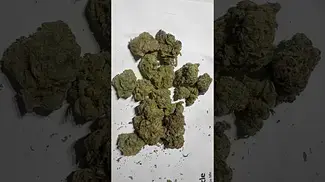 Blue unicorn #medicalcannabis 26%thc