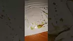LEMON SOUR DIESEL | MCCN Organics & Cantourage | PRESS TEST