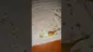 Video Thumbnail: Smacksalad