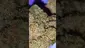Video Thumbnail: Big Bud Reviews