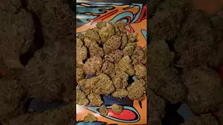 CERES NO.2 SLURRICANE MINT (UK PRESCRIPTION MEDICATION)