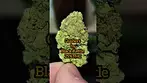Gushers 25%THC. medical prescription cannabis.