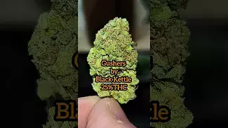 Gushers 25%THC. medical prescription cannabis.
