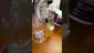 Video Thumbnail: Smacksalad