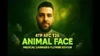 4TP AFC T25 - Animal Face - UK Medical Cannabis Flower Review