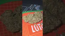 Eazypax420 Video Thumbnail