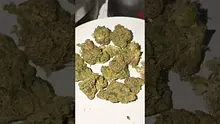 Medi Blaze Video Thumbnail