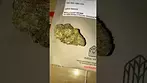  KASA VERDE | GAZZURPLE | UK MEDICAL CANNABIS PATIENT FLOWER VIDEO