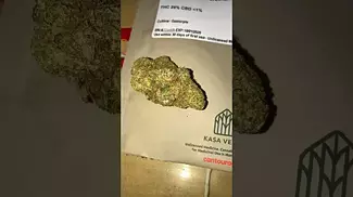  KASA VERDE | GAZZURPLE | UK MEDICAL CANNABIS PATIENT FLOWER VIDEO