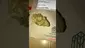 Video Thumbnail: Medical Cannabis Patient Reviews UK