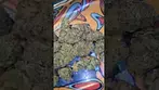 CURALEAF GREEN CRACK ( UK PRESCRIPTION MEDICATION)