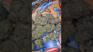CURALEAF GREEN CRACK ( UK PRESCRIPTION MEDICATION)