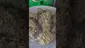 Video Thumbnail: Eazypax420