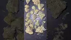 Kasa Verde Singapore Sling – 25% THC Medical Cannabis first look #medicalcannabis #legal #420