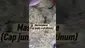 Video Thumbnail: Adz Canna