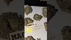 Mac1 X Powdered Doughnuts by PhantPD UK Medical T25 BNA339829 EX110226