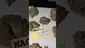 Video Thumbnail: UKTHC