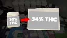 26wrld Video Thumbnail